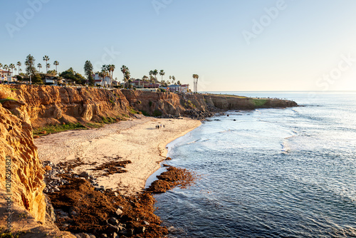 Golden Sands and Rocky Coastline, San Diego, CA