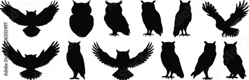 Owl silhouette set vector design big pack of bird illustration and icon