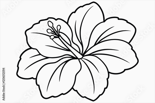 A hibiscus flower line art vector art