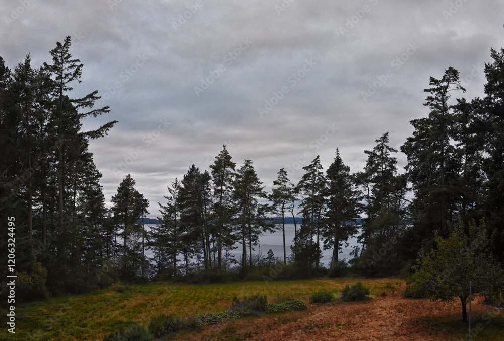 San Juan Islands dusk sunset treeline coast views fro Lopez Island summer 2024, archipelago Washington, United States