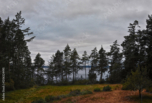 Obraz na płótnie San Juan Islands dusk sunset treeline coast views fro Lopez Island summer 2024, archipelago Washington, United States w salonie