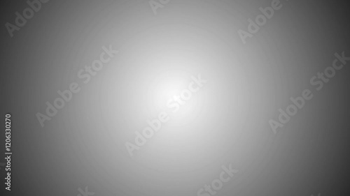 2D and 3D animations