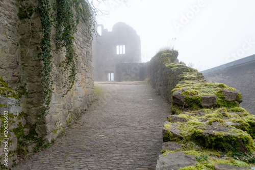 Das alte Schloss Hohenbaden