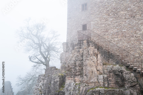 Das Alte Schloss Hohenbaden