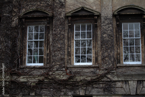old windows in a wall in Bath  UK
