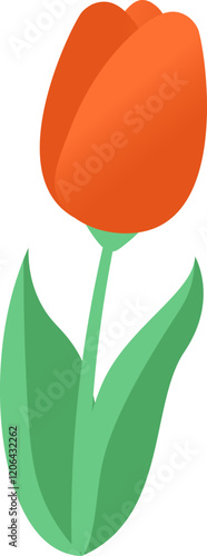 Blooming Tulip On Stem