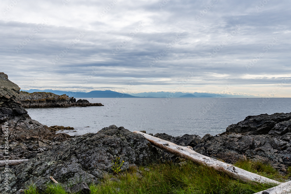 Neck Point Park Finn Beach popular Nanaimo spot for dive classes in Strait of Georgia Neck Point Park Finn Beach popular Nanaimo spot for dive classes in Strait of Georgia