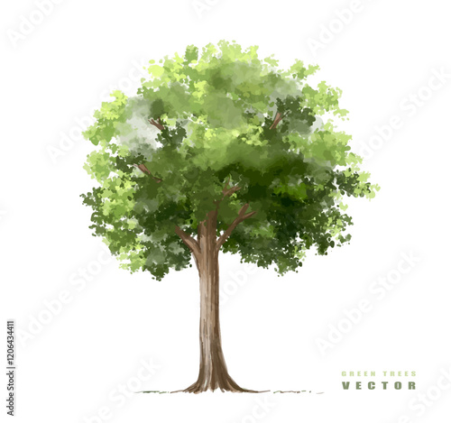 tree isolated on white background, Vector of green tree side view isolated on white background ,watercolor tree elevation for landscape concept,environment scene,eco design, garden for spring