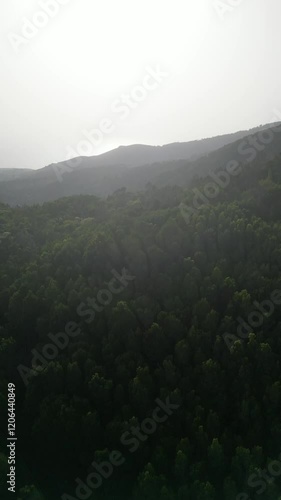fog in the mountains