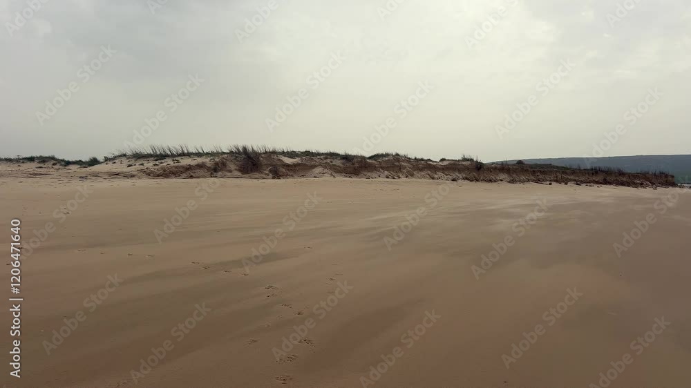 Wind blowing sand grains on the beach of Barbate, Andalusia, Spain, creating a natural pattern on the sand with vegetation on the dunes and a cloudy sky in the background Wind blowing sand grains on the beach of Barbate, Andalusia, Spain, creating a natural pattern on the sand with vegetation on the dunes and a cloudy sky in the background