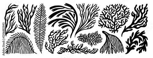 Coral reef or seaweeds vector underwater plant icons. Naive style leaves, algae or fronds. Hand drawn vector ink illustration. Modern style organic corals, aesthetic underwater plants and branches.
