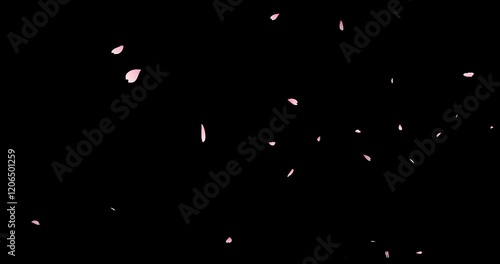 falling cherry-blossoms backgrounds(transparent background/endless loop)	