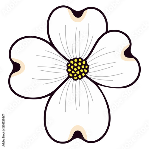 dogwood flower nature beauty flat color vector illustration template design