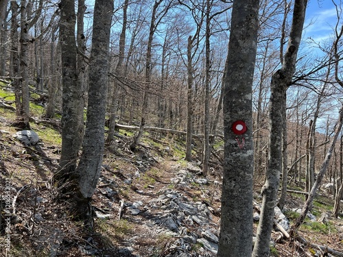 Wallpaper Mural Premuzic hiking trail or Premuzic Trail - Northern Velebit National Park, Croatia or Premuzic-Wanderweg or Premuzic's Trail (Pješački planinarski put Premužićeva staza - NP Sjeverni Velebit, Hrvatska) Torontodigital.ca