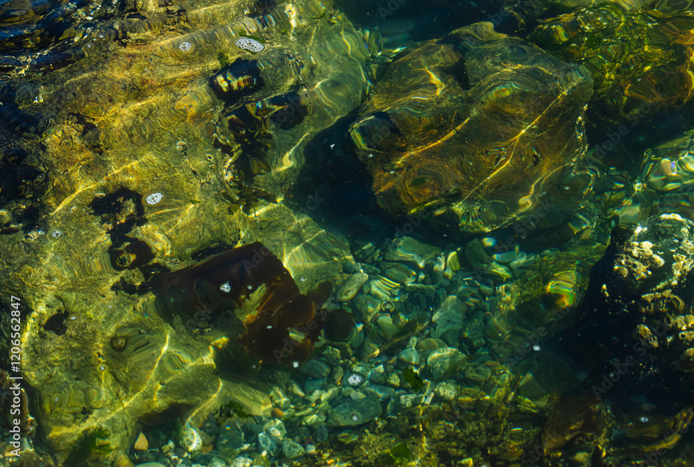 Fototapeta premium Water