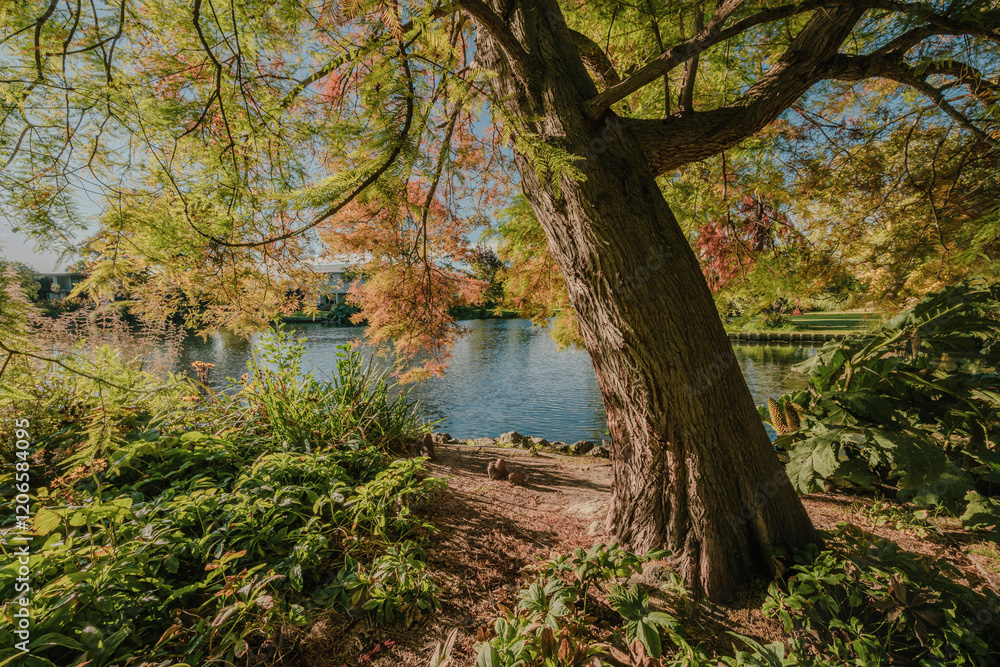 Vibrant Autumn Colors Along Avon River in Christchurch, New Zealand Vibrant Autumn Colors Along Avon River in Christchurch, New Zealand