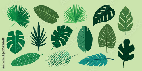Tropical leaves vector illustration, isolated vector set