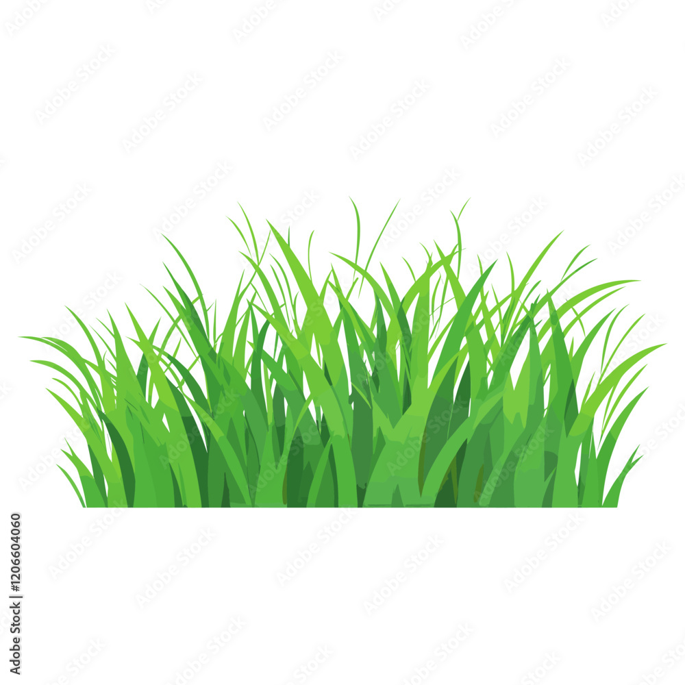 Fototapeta premium Grass illustration vector green vector