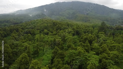 Mountain landscape with trees