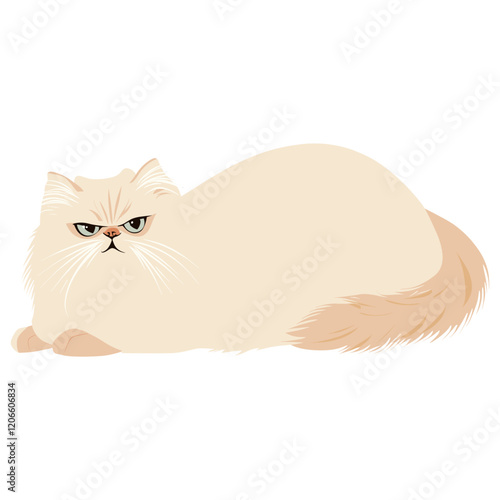 Persian cat illustration persian cartoon vector