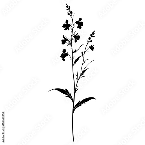 Wild flower Hairy Beardtongue illustration silhouette minimalist vector