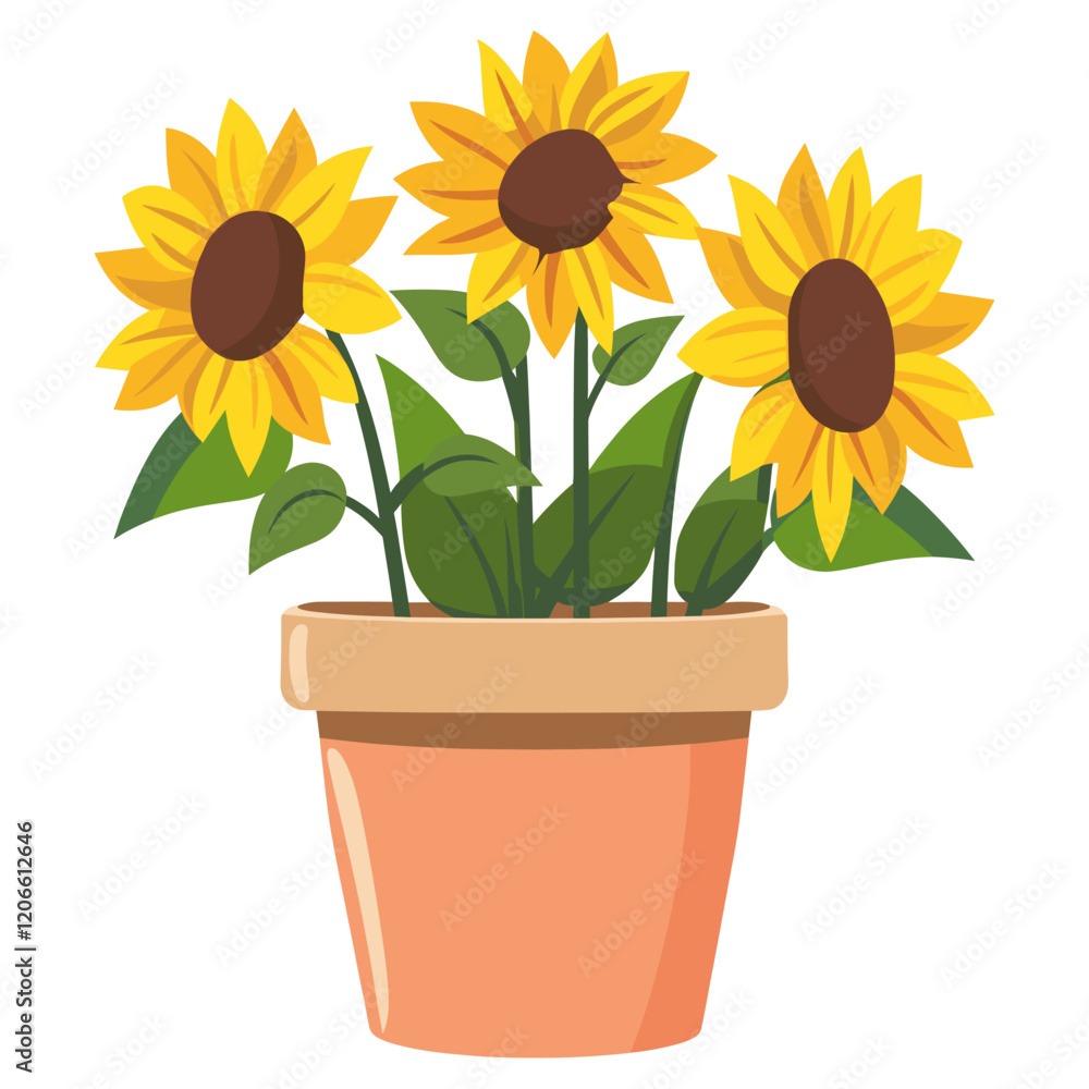 Obraz premium House plants sunflowers pot illustration art vector