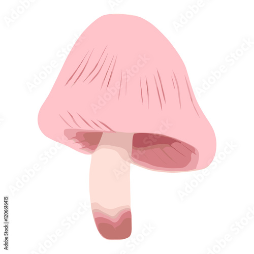 Mushroom fungus agaric vector