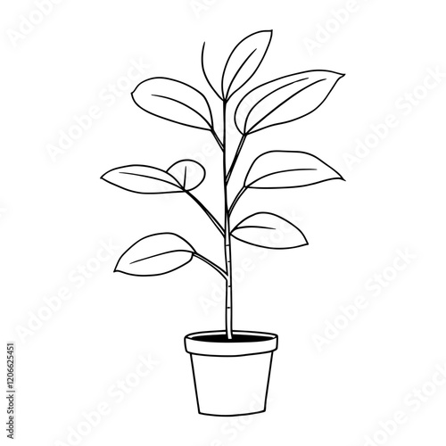 Rubber plant drawing art white vector