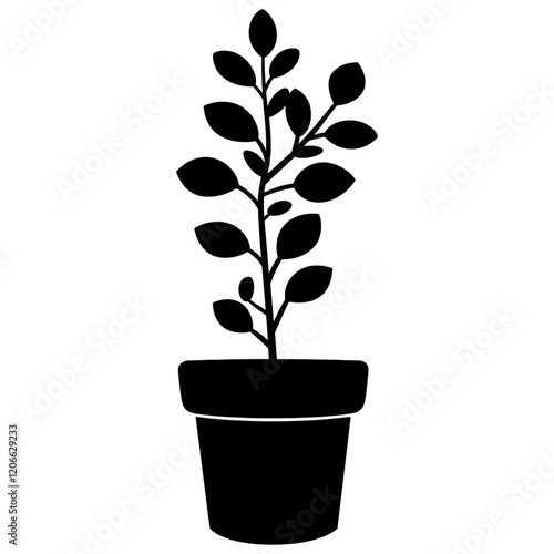 Potted plant with jade plant silhouette potted black vector