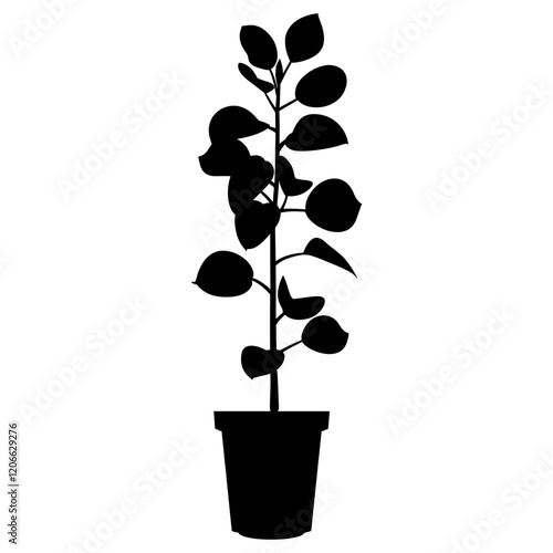 Potted plant with jade plant silhouette potted black vector
