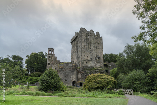 Cuadro en lienzo 산책로,정원,출입문,성벽,블라니성,Blarney Castle,코크주,County Cork,아일랜드