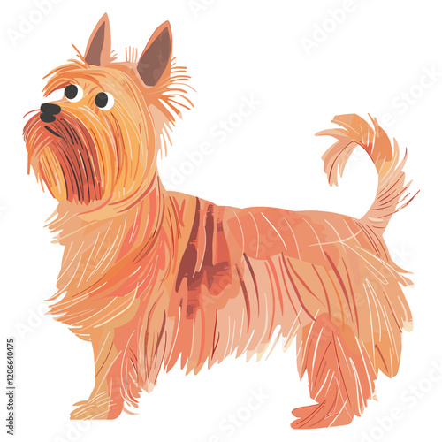 Yorkshire terrier illustration vector