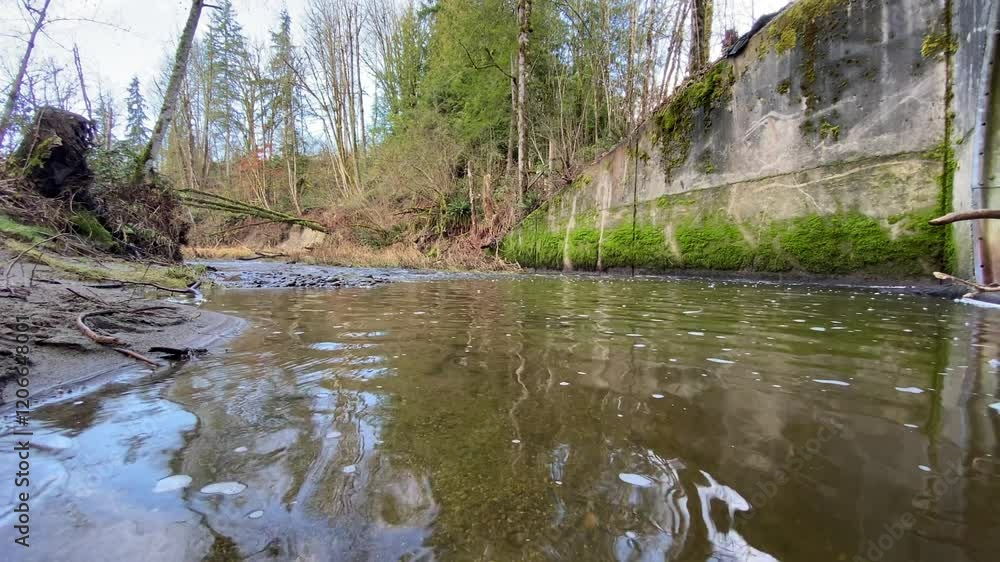 Moss on the culvert inlet wing wall looking upstream from corrugated steel culvert inlet in Murrey creek Moss on the culvert inlet wing wall looking upstream from corrugated steel culvert inlet in Murrey creek
