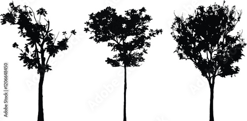 Tree Silhouettes - Black Tree Collection - Isolated on White  vector illustration