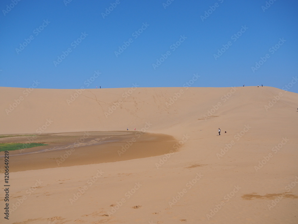 砂丘の美しい風景