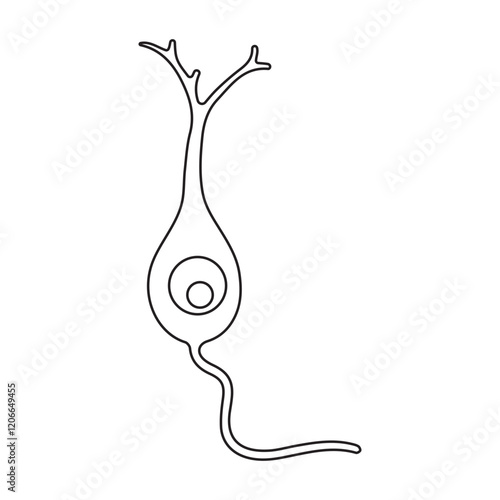 granule neuron branching line icon