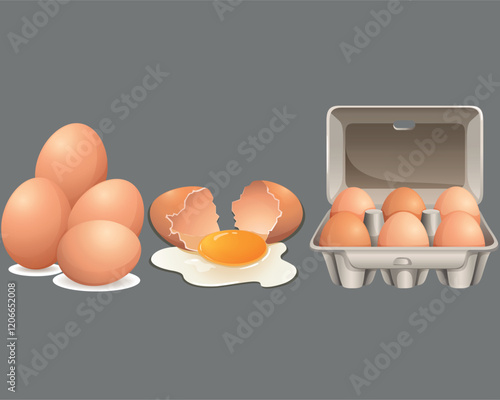 Eggs in carton box and cracked egg vector illustration