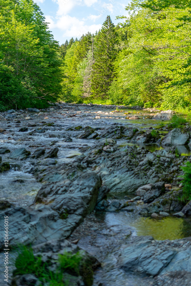 crooked creek river in New Brunswick, Canada crooked creek river in New Brunswick, Canada