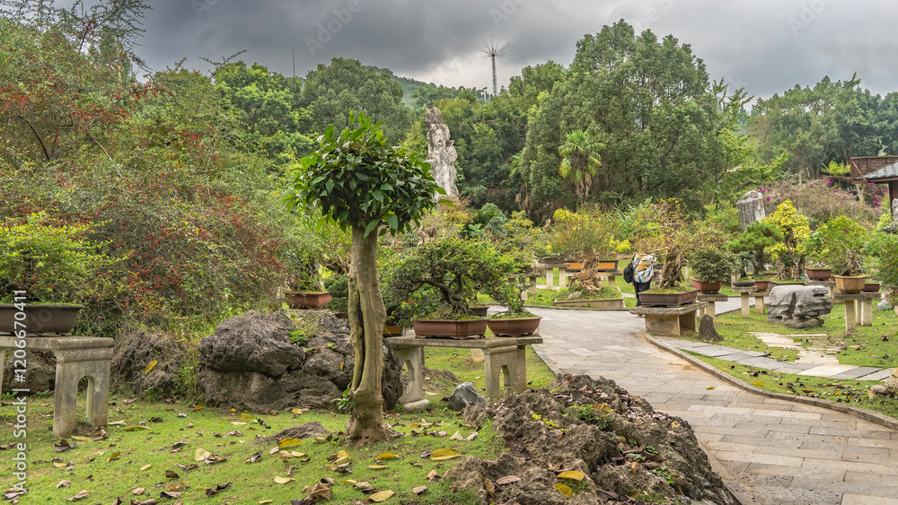 Fototapeta premium Bonsai tree Park. Lots of dwarf fancy potted plants. Fallen leaves on the lawn grass. A man walks along concrete paths. Tropical vegetation. China. Guizhou
