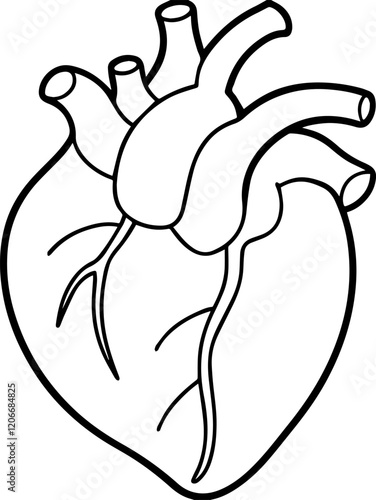 Human heart anatomy outline vector illustration