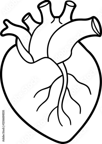 organ heart outline vector illustration