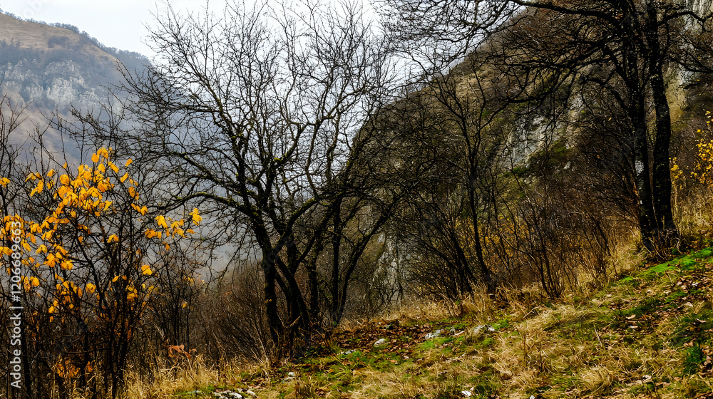 Autumnal mountain landscape, bare trees, yellow foliage, rocky hillside, misty valley Autumnal mountain landscape, bare trees, yellow foliage, rocky hillside, misty valley