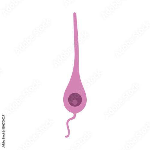 granule neuron immature colored icon