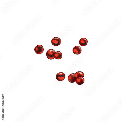 Vector hand drawn illustration of red caviar in vintage style.