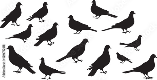 Pigeon silhouette