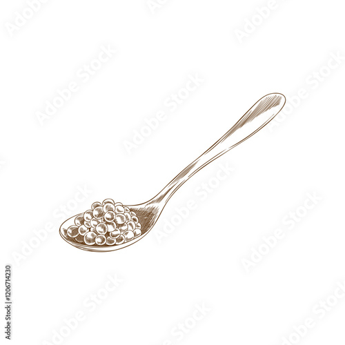 Caviar on a spoon vector engraved hand drawn, sea food healthy natural delicacy product sketch, salmon or trout fish roe