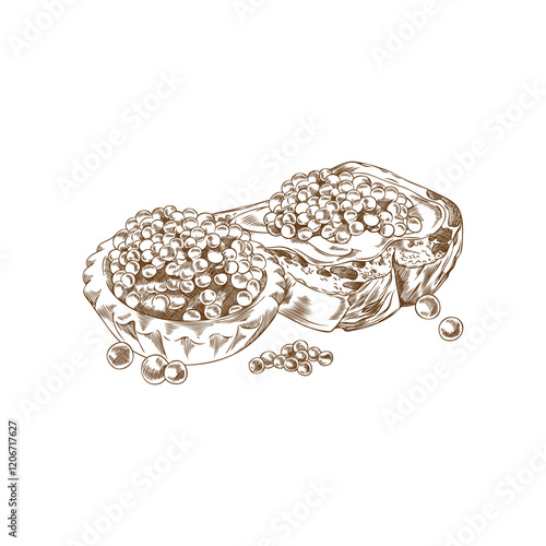 Caviar heap on tartlet and buttered bread slice vector engraved hand drawn, sea food, natural delicacy appetizer, snack