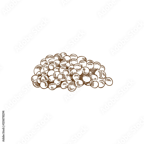 Vector illustration of a fish caviar in style of a hand-drawn sketch on white background