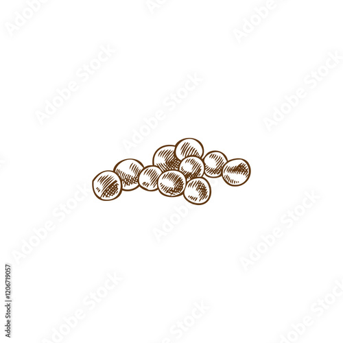 Caviar heap vector engraved hand drawn, sea food, healthy natural delicacy product ink sketch, salmon or trout fish roe