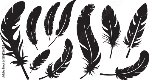 Feathers silhouettes